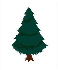 Pine tree with green leaves