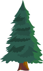 Pine tree with green leaves