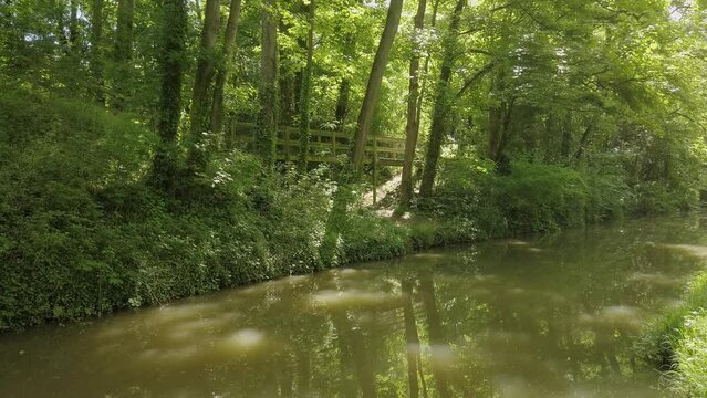 Idyllic countryside in Oxfordshire.  The Oxford canal in summer. Greenwood.