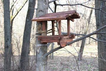 Birdhouse tied to a tree
