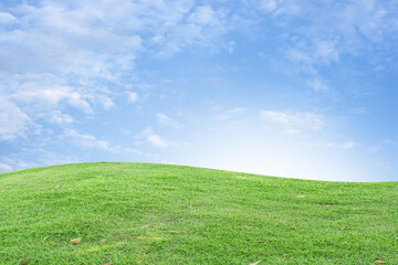 Fototapeta na wymiar green grass and blue sky background