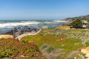 Scenic view of the Pacific Coast. J V Fitzgerald Marine Reserve.