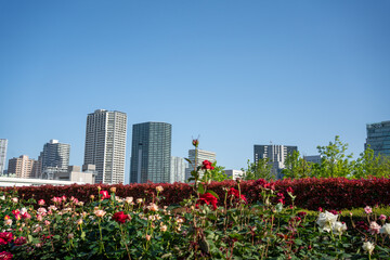 Futuristic Business district with Green in Tokyo city center, Shinagawa