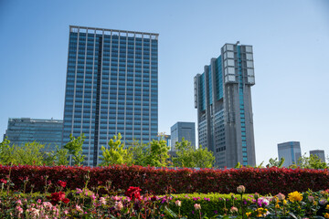 Futuristic Business district with Green in Tokyo city center, Shinagawa