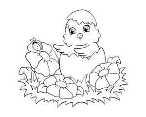 Cute chicken in the meadow. Coloring book page for kids. Cartoon style character. Vector illustration isolated on white background.