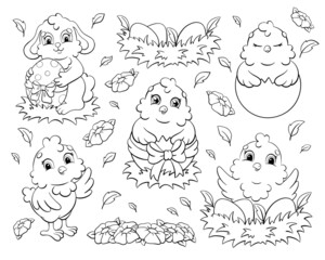 Coloring book page for kids. Set of cute chickens and rabbit. Easter theme. Cartoon style character. Vector illustration isolated on white background.