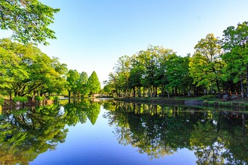 池のある公園