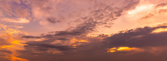 Amazing sunset and sunrise.Panorama silhouette tree in africa with sunset. Dark tree on open field dramatic sunrise.