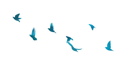 A flock of blue birds. Vector illustration