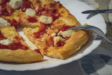 Homemade Pizza With Fresh Tomatoes, Mozzarella And Ricotta Cheese