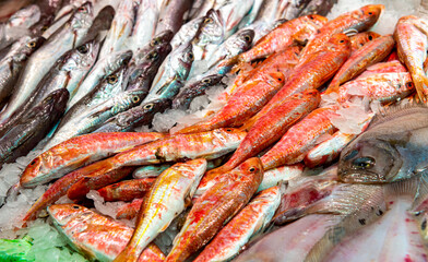 Fish Market. Sea fish in assortment on the ice market counter