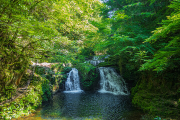 赤目四十八滝　荷担滝