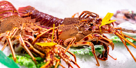 Fish Market. Sea lobster on ice counter