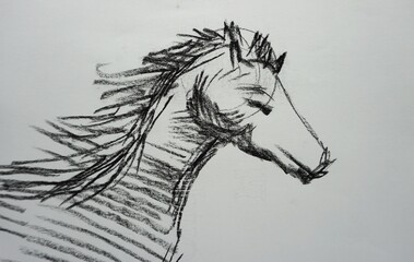 Obraz premium Art Drawing Fine art Sketch Cute Running horse Thailand