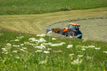 Obraz premium mower in the field