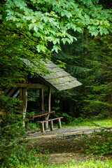 a rough wooden gazebo in the forest