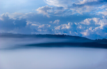 Fototapeta premium misty forest landscape in Carpathians, Ukraine