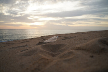 Fototapeta na wymiar PET Plastic bottle trash on shore beach