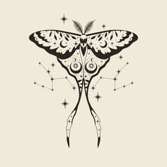 Vector illustration of moon moth. For print for T-shirts and bags, decor element. Mystical and magical, astrology illustration - obrazy, fototapety, plakaty
