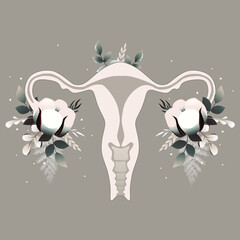 Organ of the uterus with cotton, female nature. Woman reproductive health illustration. Soft vector illustration.