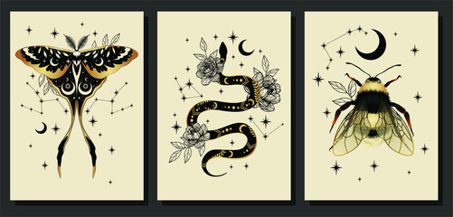 Magic wall art vector set. Decorative symbolic moth, snake, bumblebee and stars. Gold contour sketches, vector mythology set. Plant art design for printing, cover art, wallpaper. © Любовь Овсянникова