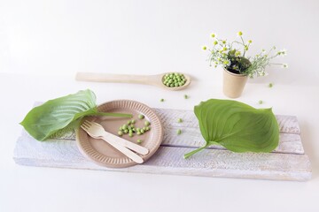 Eco-friendly disposable tableware from natural materials and green leaves on a light background,...