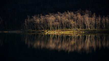 Sunlight Illuminating the Shore of the Norwegian Mountain Lake Hydalsvatnet in Hydalen, Hemsedal