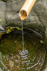 東京都江東区　清澄庭園　