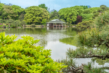 東京都江東区　清澄庭園　涼亭　日本庭園　