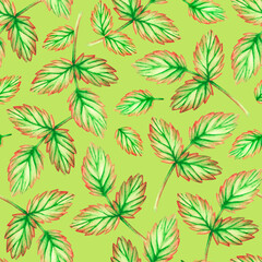 Fototapeta na wymiar Leaf seamless pattern. Watercolor illustration. Isolated on a green background. For design.