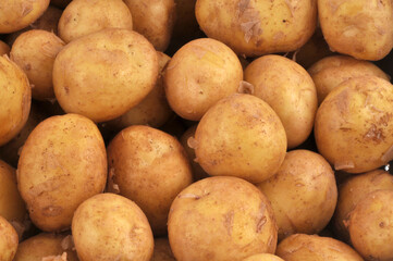 Pommes de terre grenailles crues en gros plan