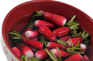 Bol de radis dans l'eau dans un bol en gros plan