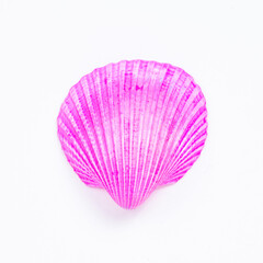 ピンク色の貝殻　切り抜き素材
