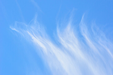 Cirrus Clouds in the blue sky on a sunny day.