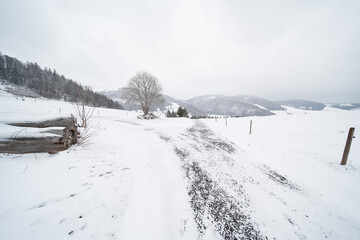 winter landscape in germany near bernau, black forest.