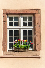 Colorful tulips as decoration on a window sill.