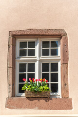 Colorful tulips as decoration on a window sill.