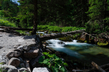 The Kościeliski Stream flowing along the trail in the Kościeliska Valley in the Polish Western...