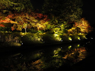 紅葉のライトアップ