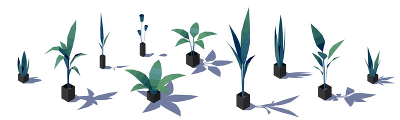 Set of isometric low poly potted plants. Vector illustration - obrazy, fototapety, plakaty