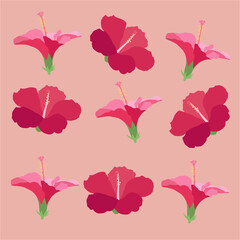 Beautiful hibiscus flowers Vector set of blooming tropical floral for holiday invitations, greeting card and fashion design Tropicania and exoticism