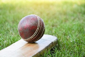 An old red leather cricket ball on bat for training and practising on grass floor beside the court,...
