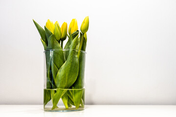 Fototapeta Żółte tulipany w szkle obraz