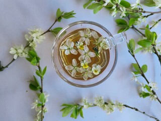 Biała herbata © Kinga