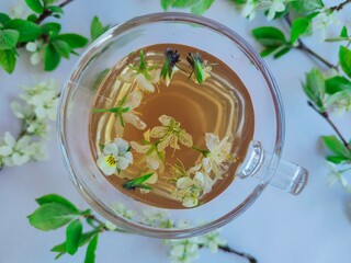 Biała herbata © Kinga