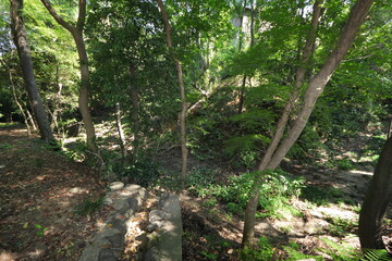 犬山城　樅の丸南側の空堀　愛知県　犬山市