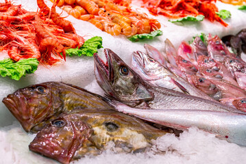 Fish market. Ice stall with fresh mediterranean seafood and fish.