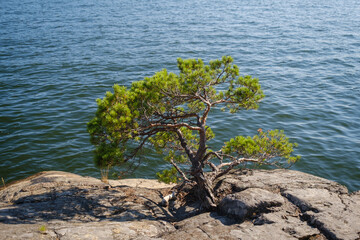 Lidingö island in Stockholm sweden in summer