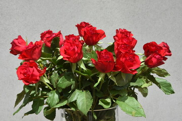 bukiet czerwonych róż © drlmk