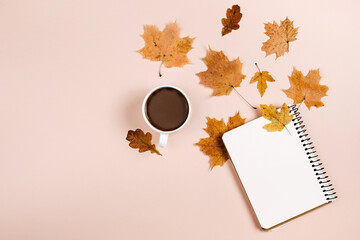 Autumn composition. Dried various leaves, hot coffee cup and notebook on pink color background wall...